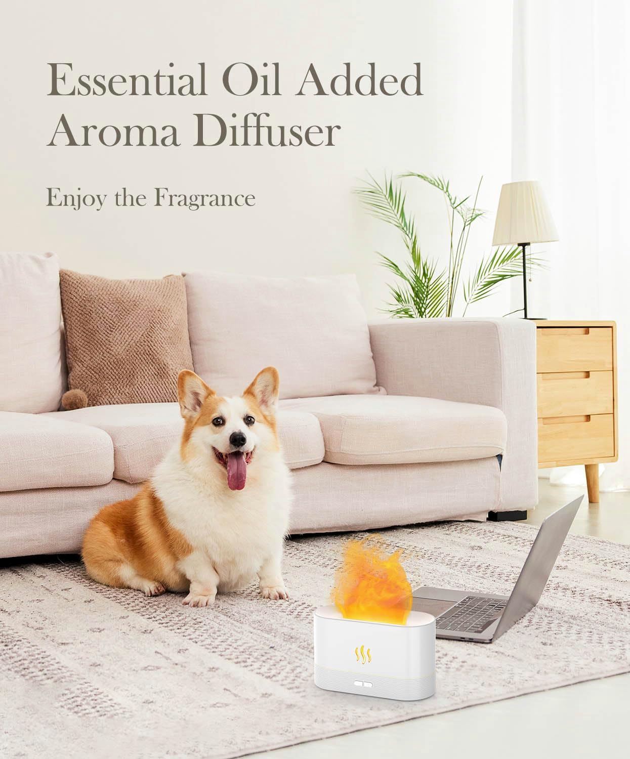 F Humidificador Difusor de Aire